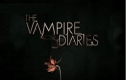 Crónicas Vampíricas (Vampire Diaries)