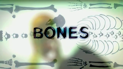 Bones