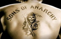 Sons of anarchy
