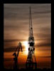 LA MELANCOLIA DE  LAS GRUAS