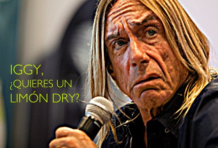 schweppes_iggy_b5794.jpg
