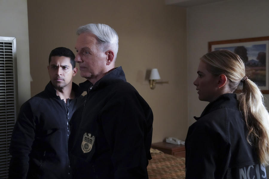 Navy Investigación Criminal Temporada 19 Reparto